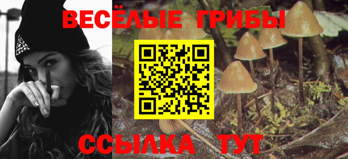 Псилоцибиновые грибы MAGIC MUSHROOMS  Вход с VPN  Галлюциногенные грибы Psilocybe  Джанкой 